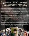 Khóa học E-file + Dual